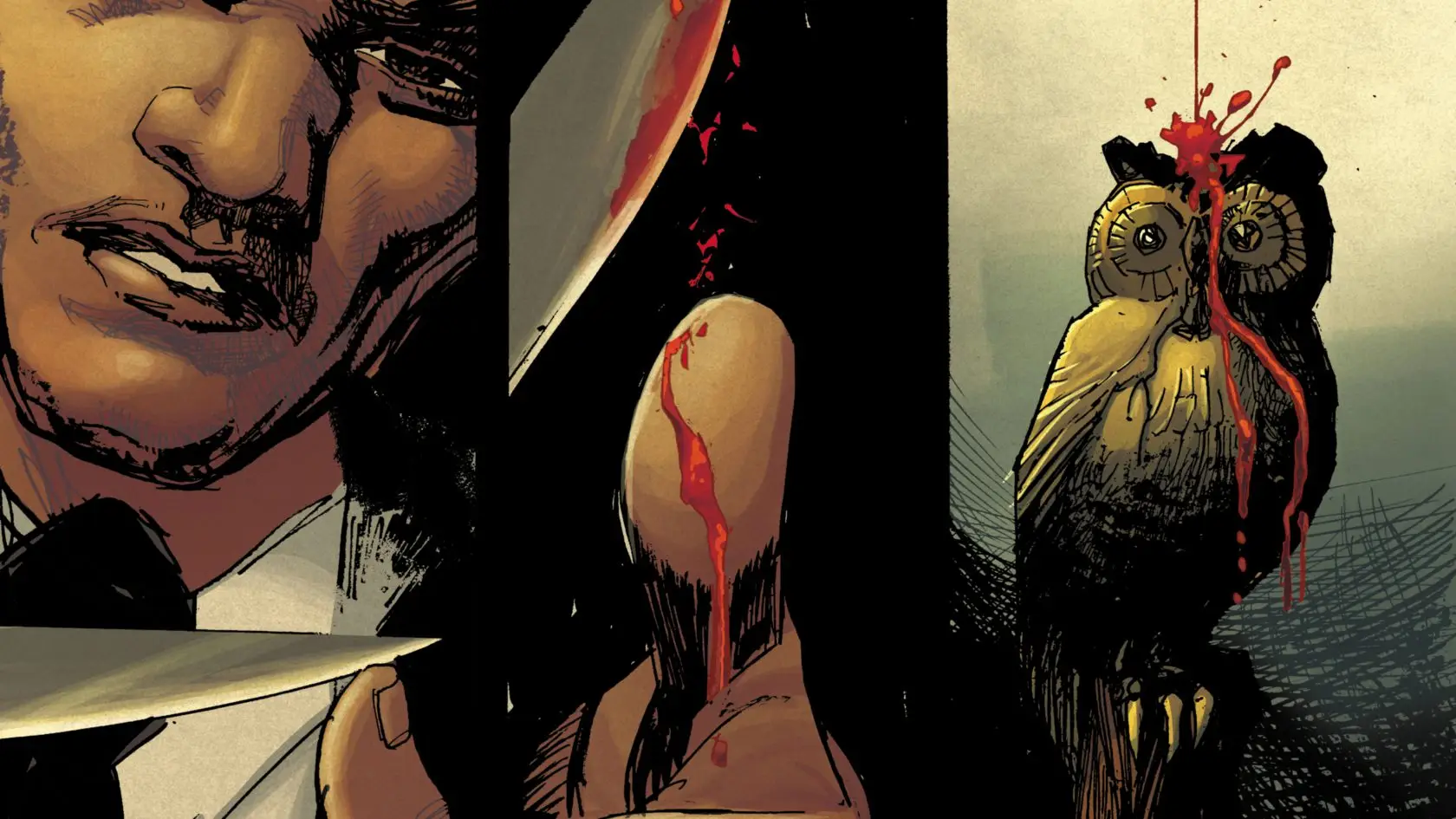 Knife near bleeding finger next to blood dripping on owl